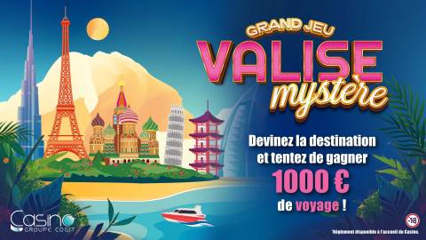La valise mystère